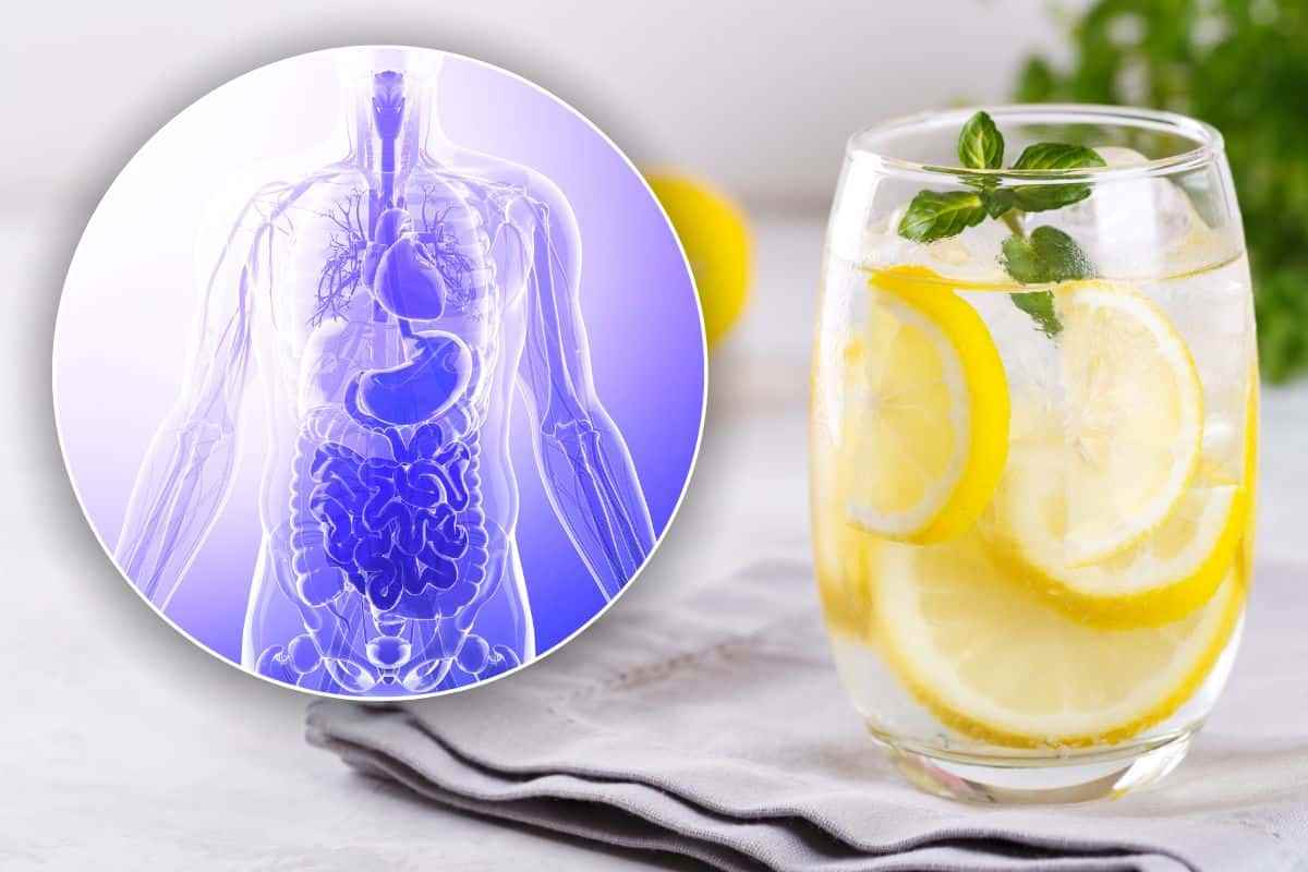 bere acqua e limone al mattino fa bene?